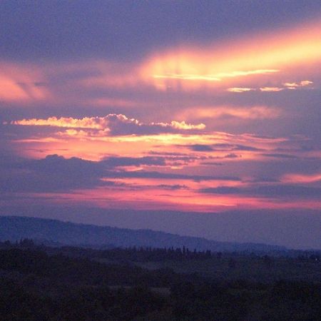 Agriturismo Il Girasole San Gimignano Eksteriør billede